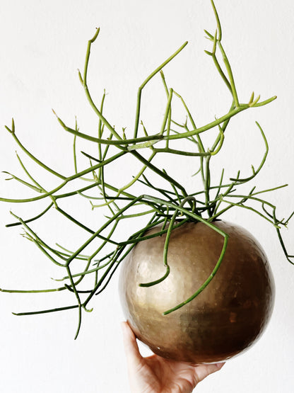 Vintage Hammered Brass Orb Vase