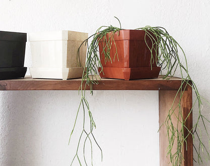 Vintage Plastic Plant Pots