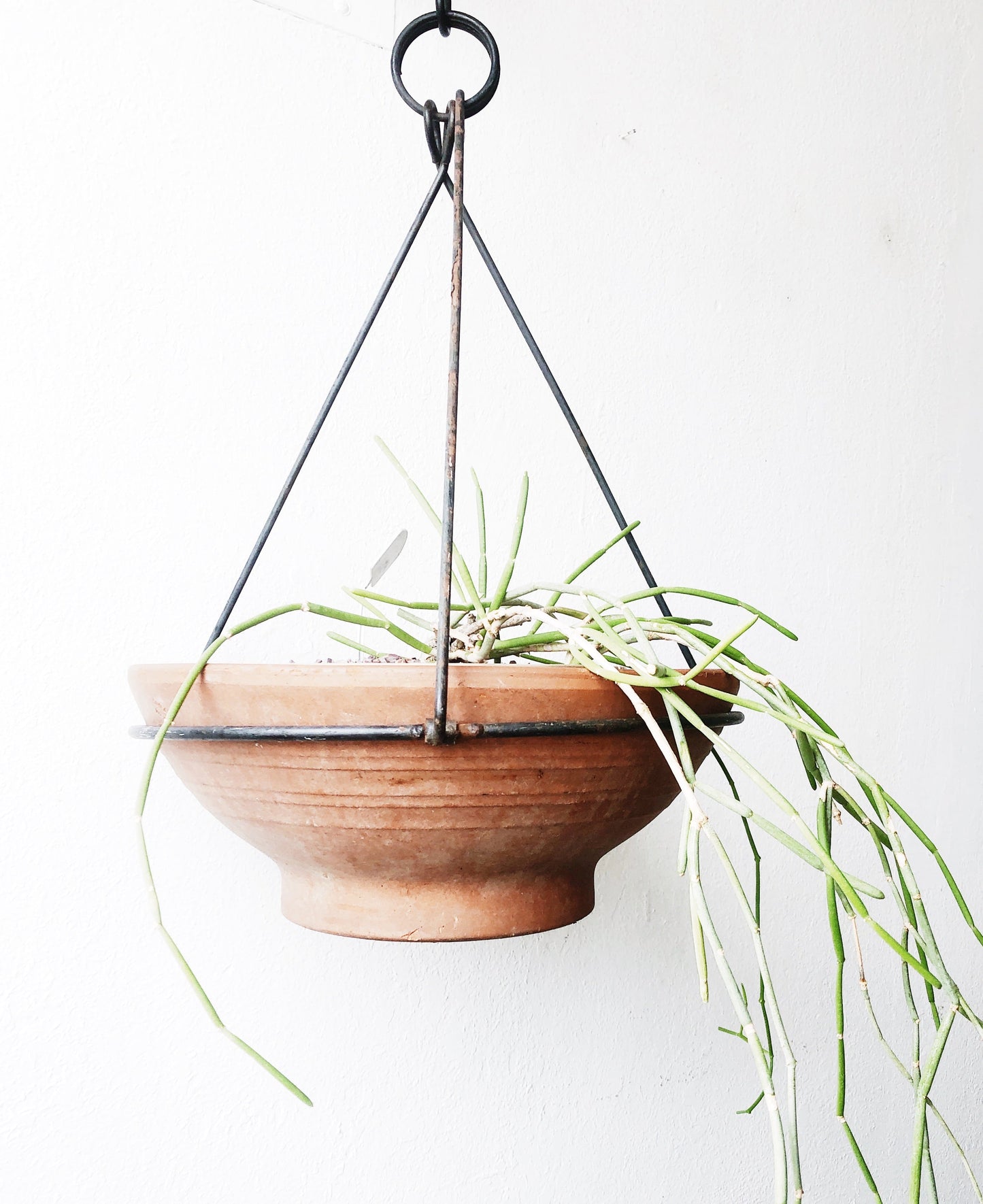 Vintage Iron Plant Hanger