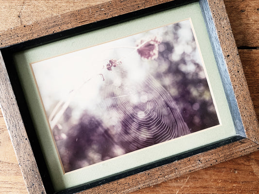 Vintage Framed Photo