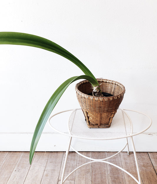 Vintage Enamel Mesh Stand