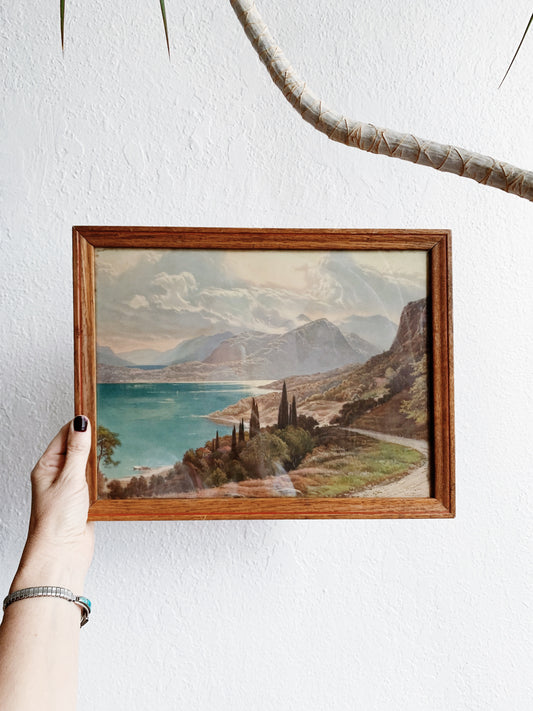 Vintage Framed Litho