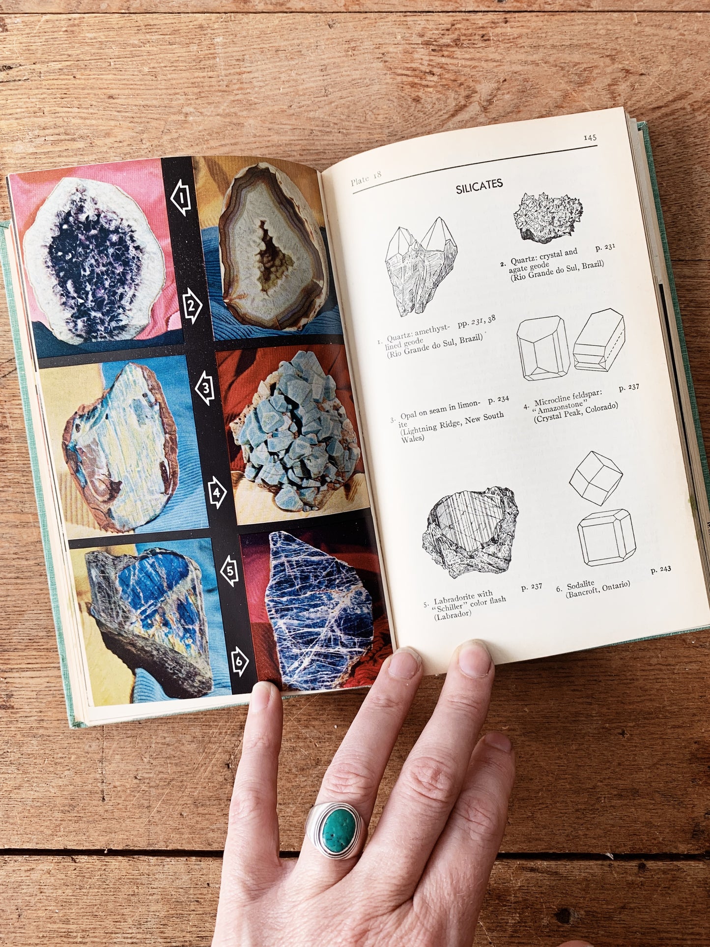 Vintage Field Guide to Rocks and Minerals