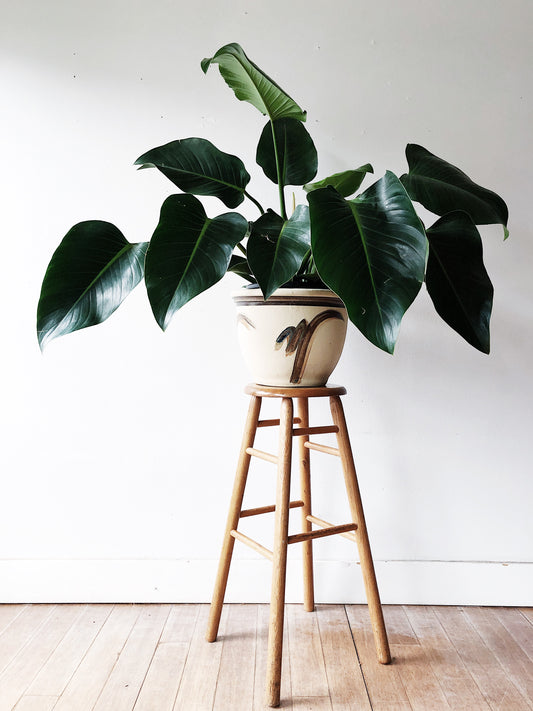 Extra Tall Vintage Wooden Stool
