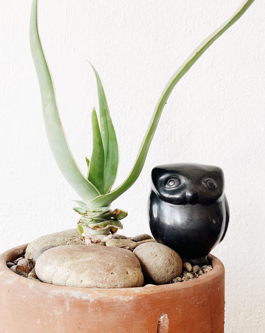 Black Clay Owl