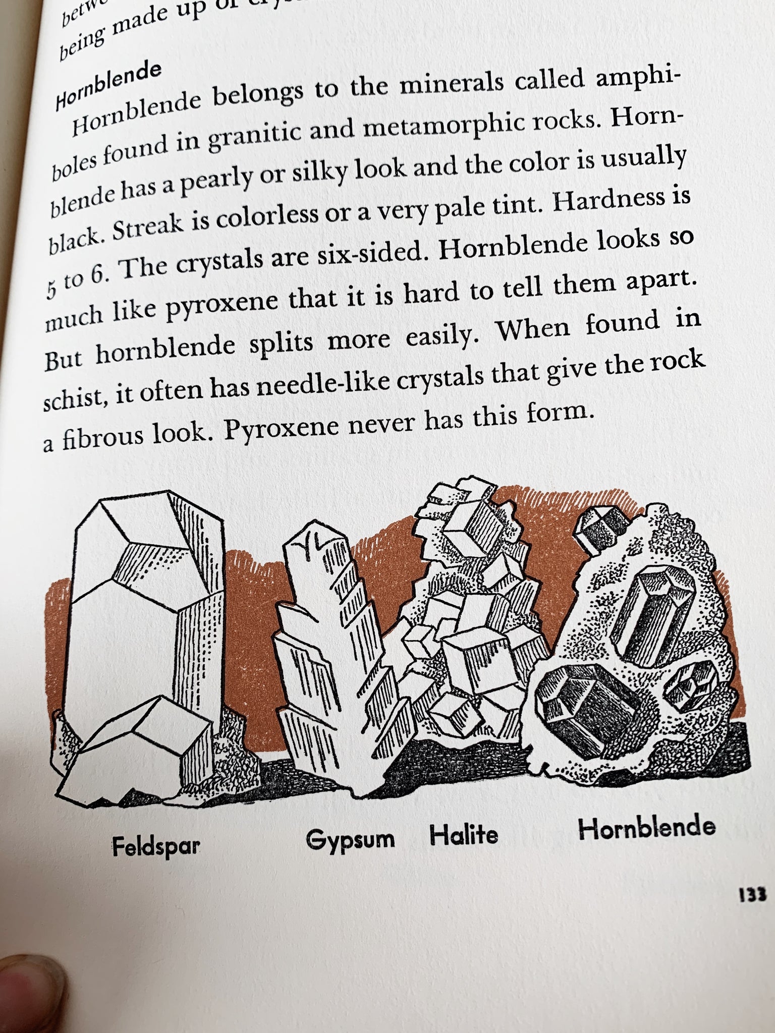 1950’s Middle Reader Rocks Book