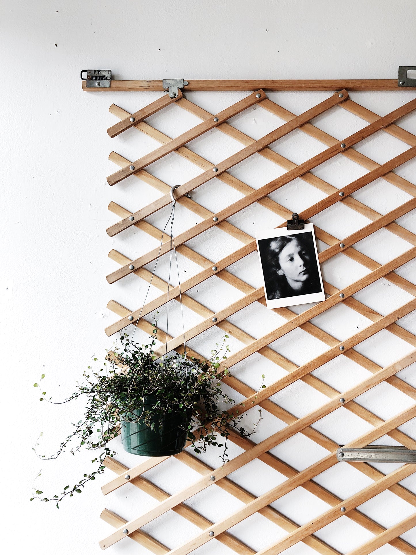 Vintage Wooden Accordion Gate