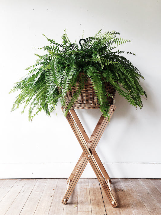 Vintage Laundry Basket and Stand