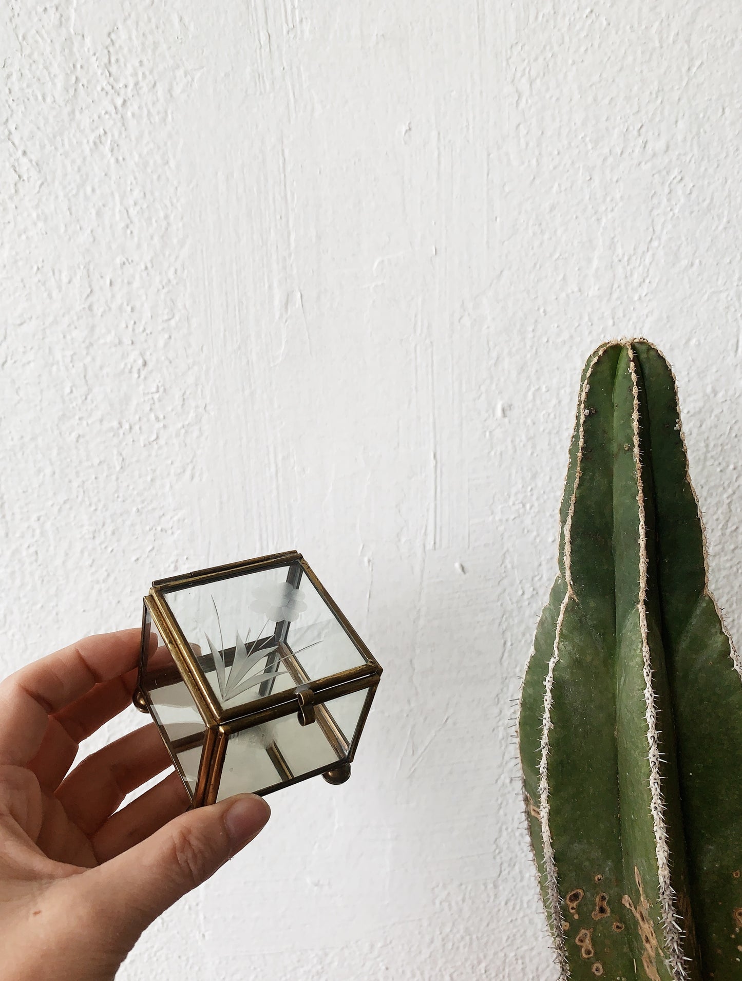 Vintage Glass and Brass Display Boxes