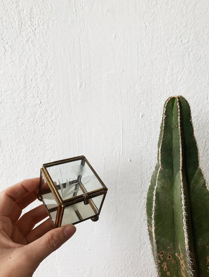 Vintage Glass and Brass Display Boxes