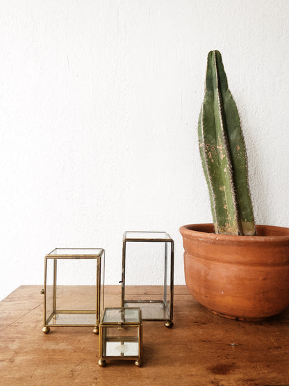 Vintage Glass and Brass Display Boxes