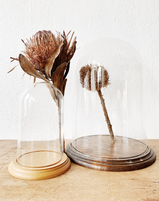 Vintage Glass Cloche with Wood Base