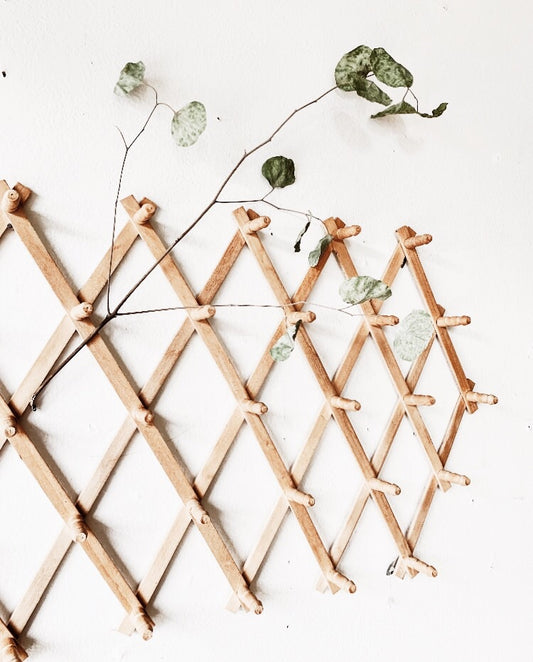 Extra Large Accordion Peg Rack
