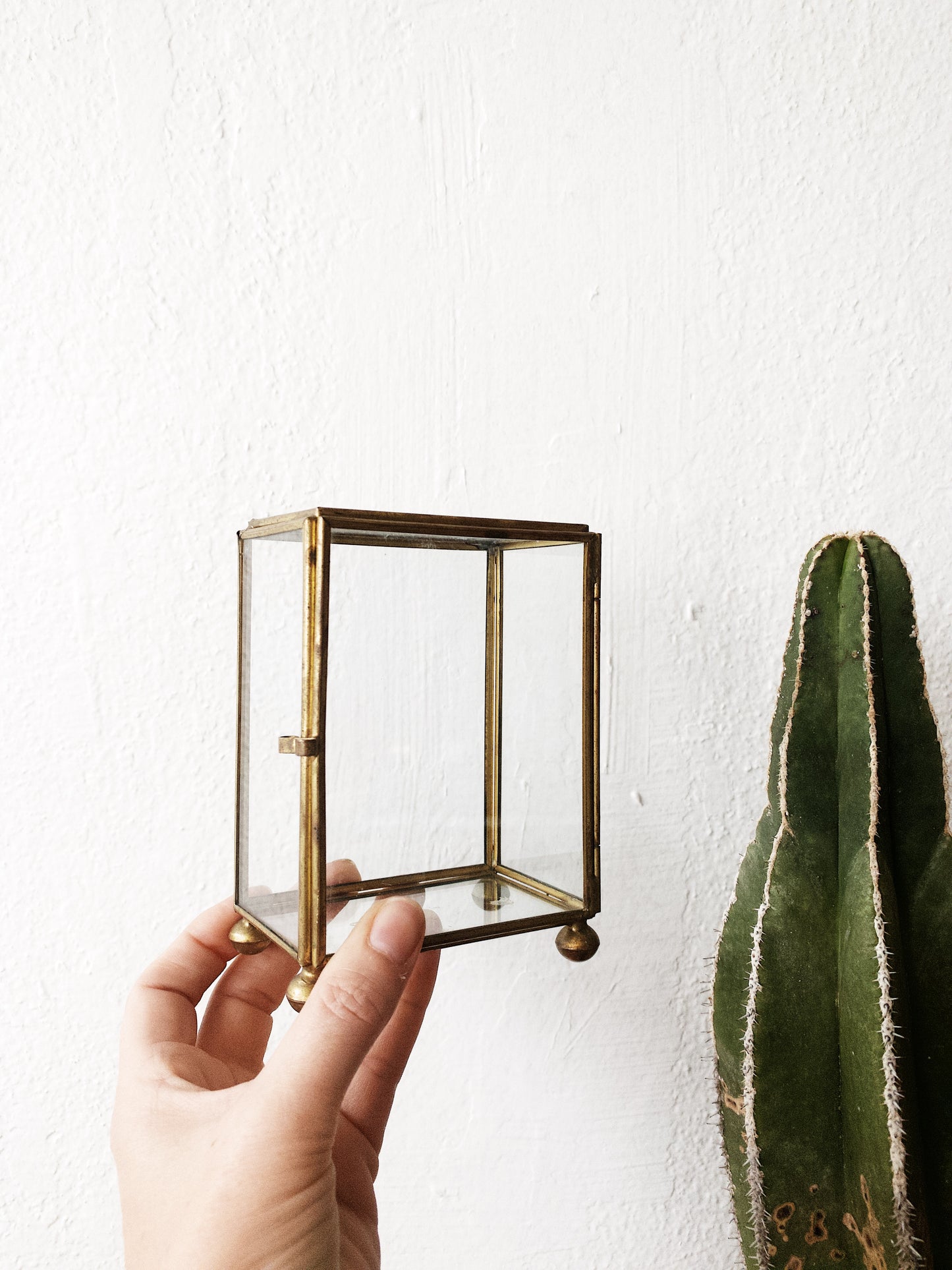 Vintage Glass and Brass Display Boxes