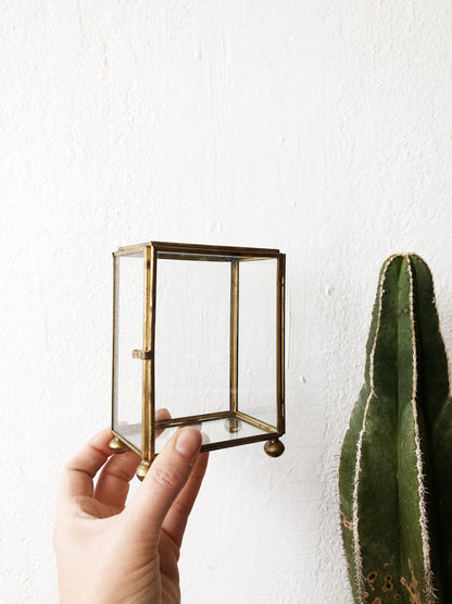 Vintage Glass and Brass Display Boxes