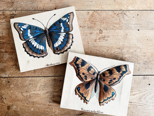 Vintage Stretched Canvas 3D Fabric Butterfly