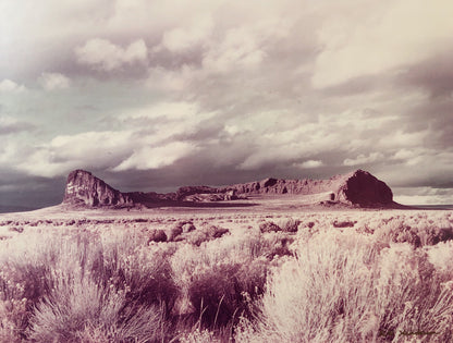 Original Vintage Desert Film Photo