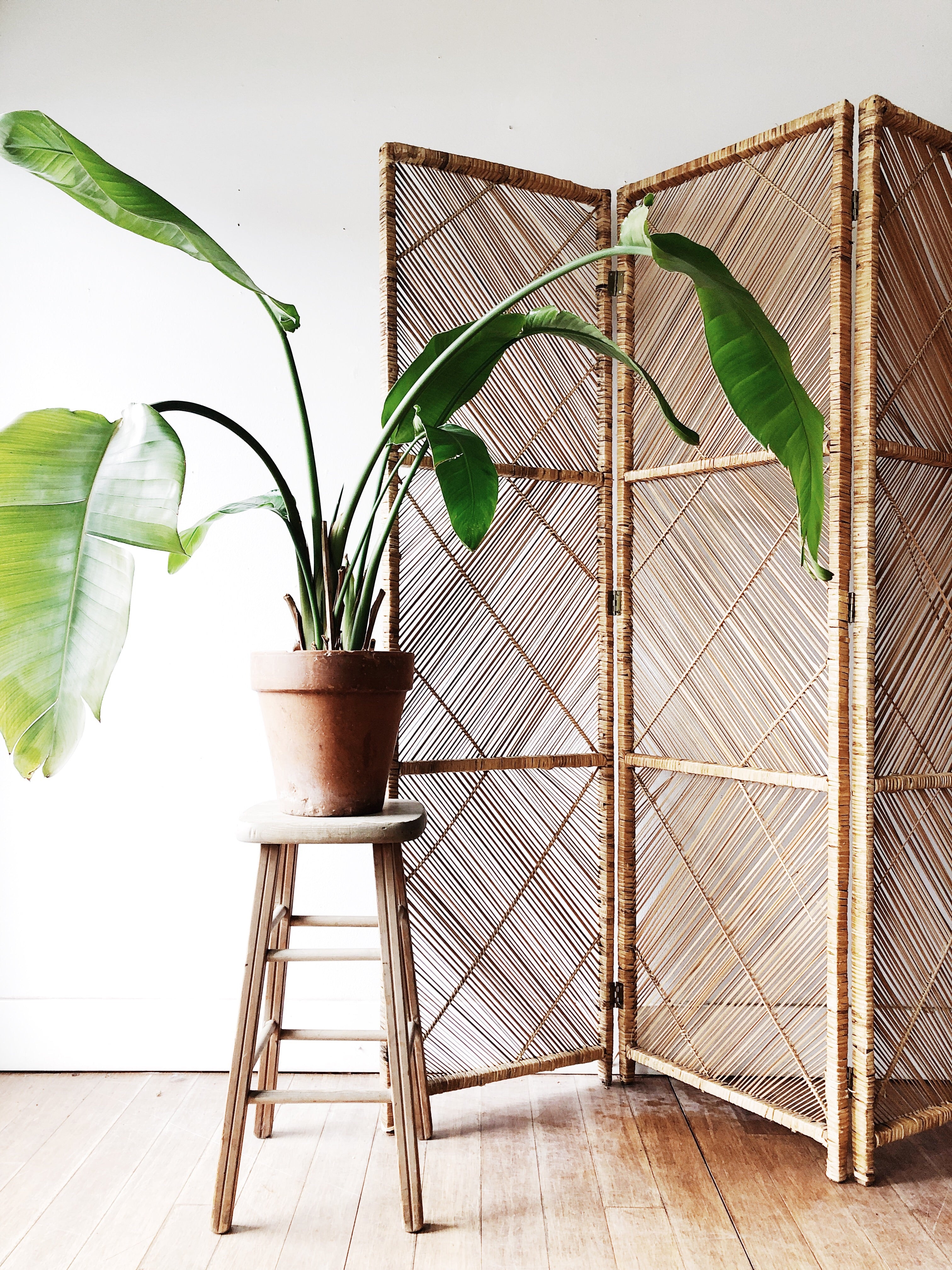 Vintage Trifold Privacy Screen / Room Divider - Thumbnail 4