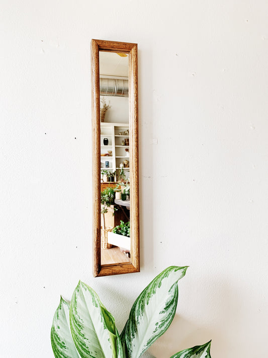Vintage Long Skinny Mirror