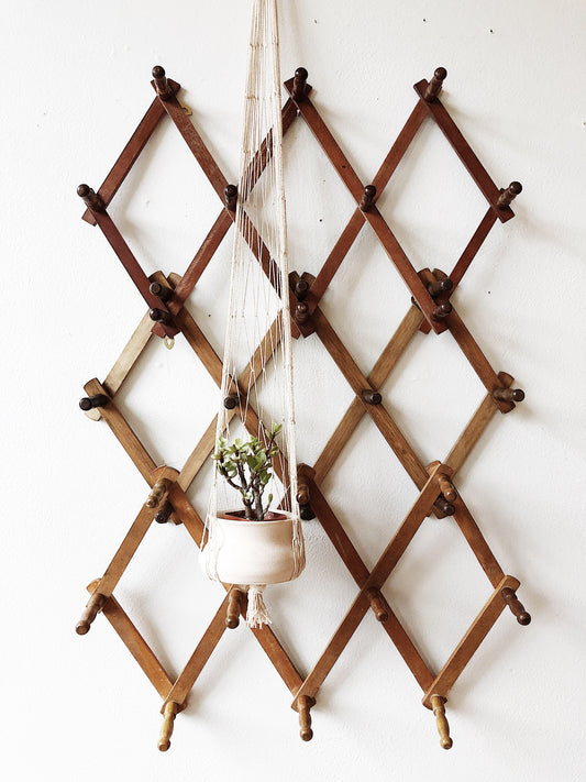 Vintage Accordion Peg Rack