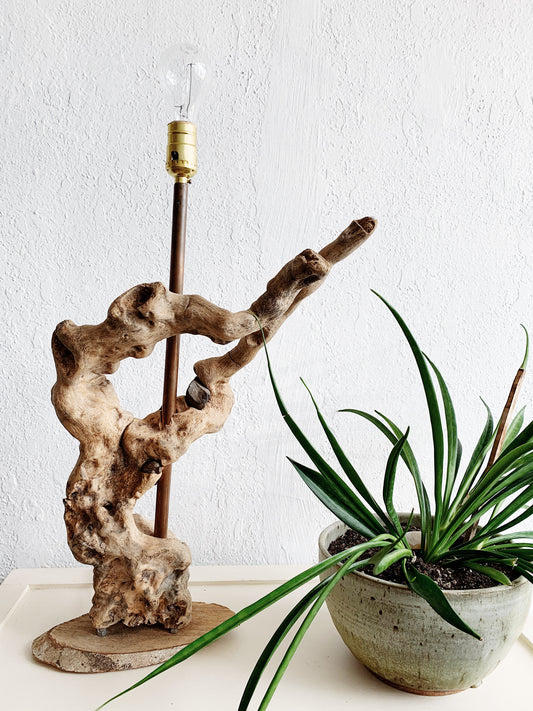 Vintage Driftwood Lamp