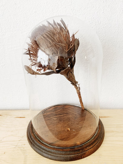 Vintage Glass Cloche with Wood Base