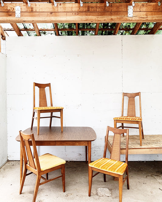 Mid Century Dining Set