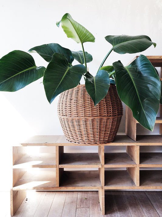 Large Woven Vintage Floor Basket