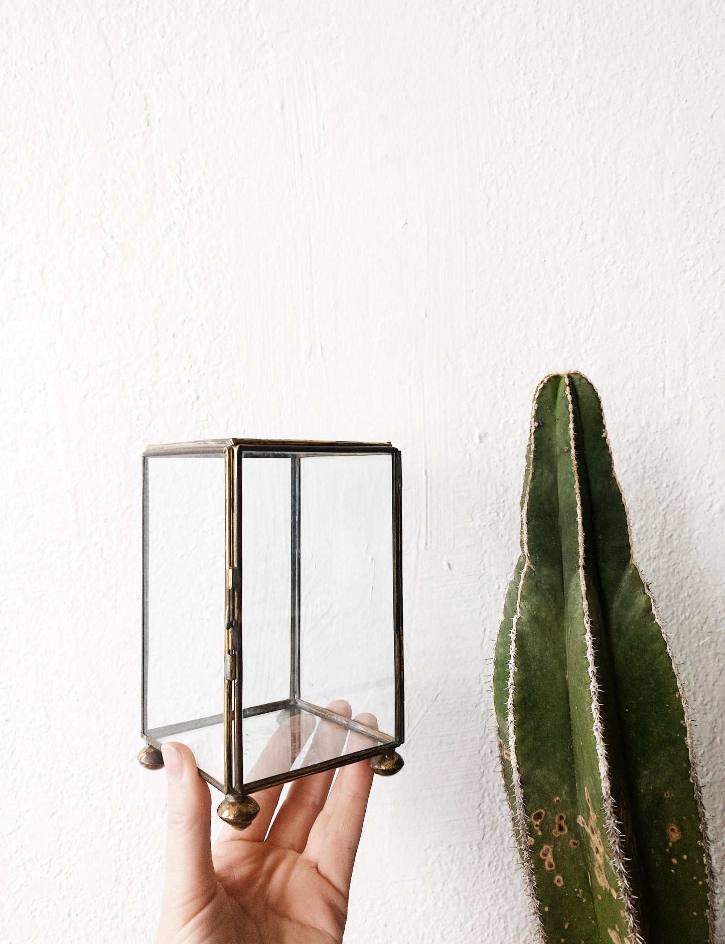 Vintage Glass and Brass Display Boxes