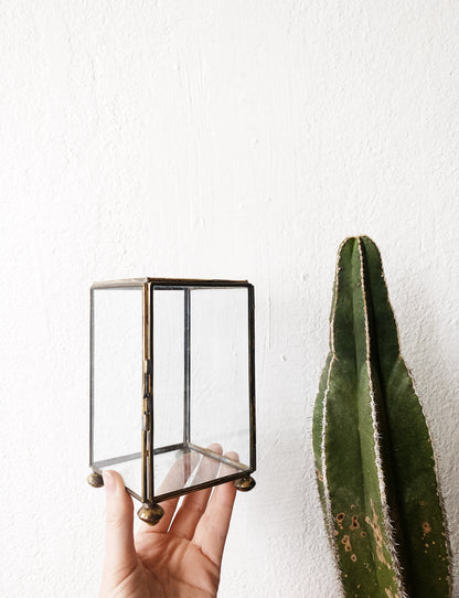 Vintage Glass and Brass Display Boxes
