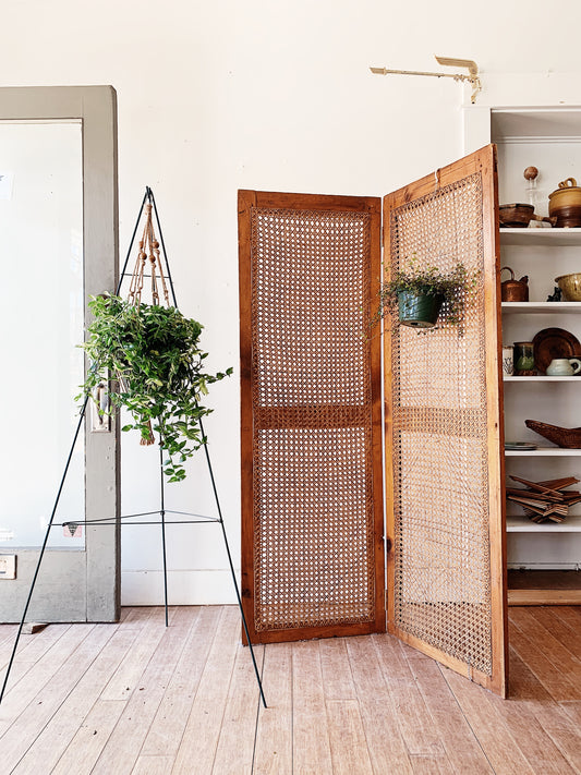 Vintage Caned Wood Screen