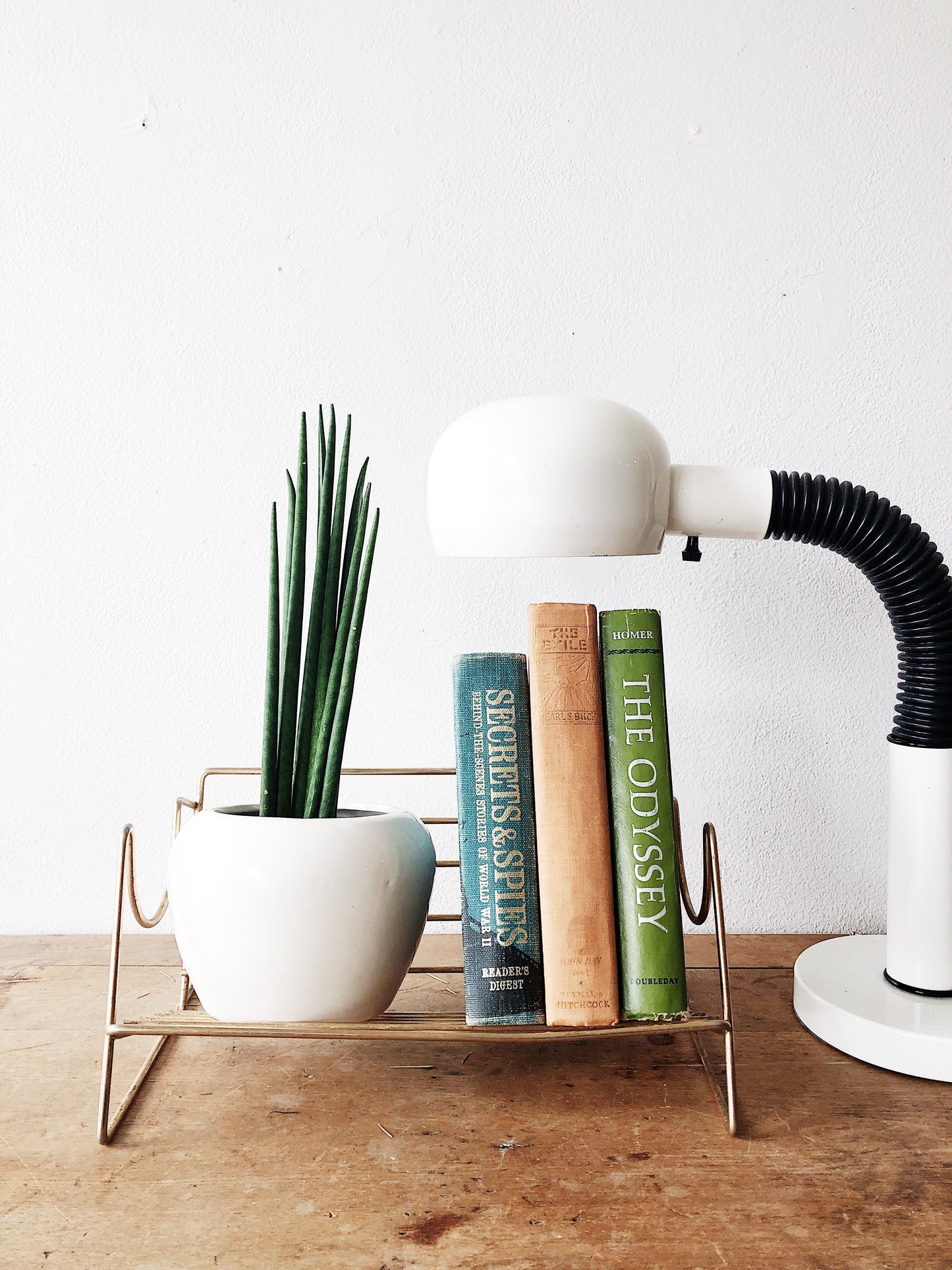 Vintage Brass Book Rack